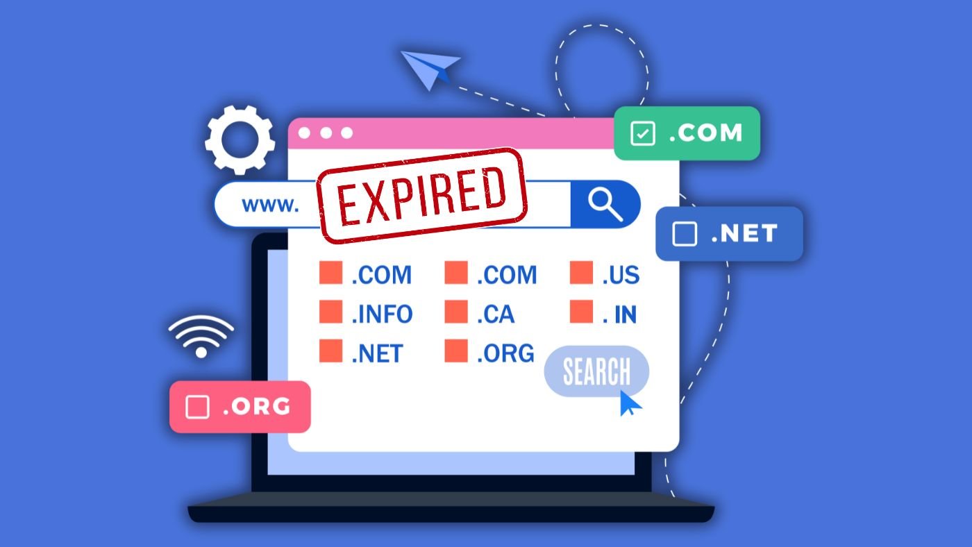 When Domain Name Expire